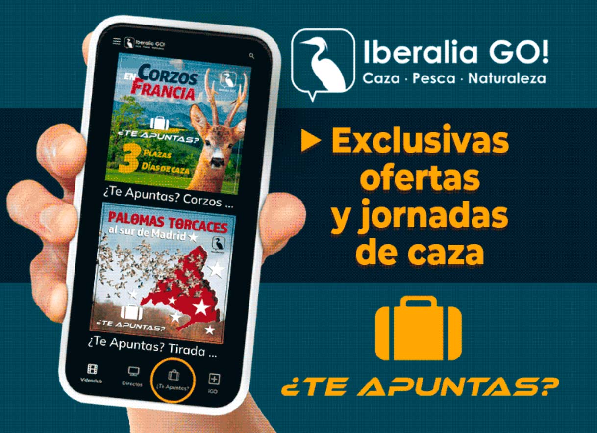 IberaliaGo 01
